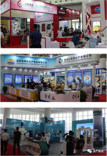 火爆 水博會盛大開啟,連市長都來了