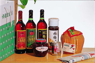 海通食品集團(tuán)股份圖冊(cè)盛都